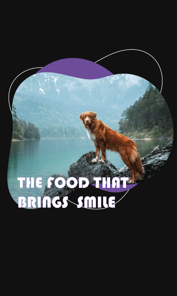 غذا حیوانات، غذای سگ، غذای گربه - سزار کندی